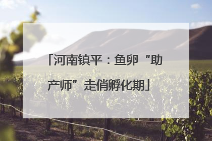 河南镇平：鱼卵“助产师”走俏孵化期