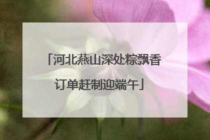 河北燕山深处粽飘香 订单赶制迎端午
