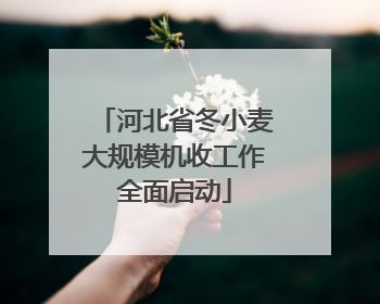 河北省冬小麦大规模机收工作全面启动