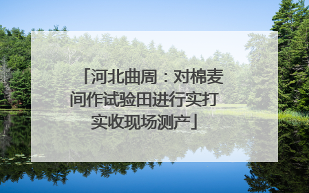 河北曲周：对棉麦间作试验田进行实打实收现场测产