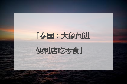 泰国：大象闯进便利店吃零食