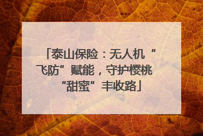 泰山保险：无人机“飞防”赋能，守护樱桃“甜蜜”丰收路