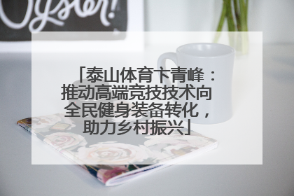 泰山体育卞青峰：推动高端竞技技术向全民健身装备转化，助力乡村振兴