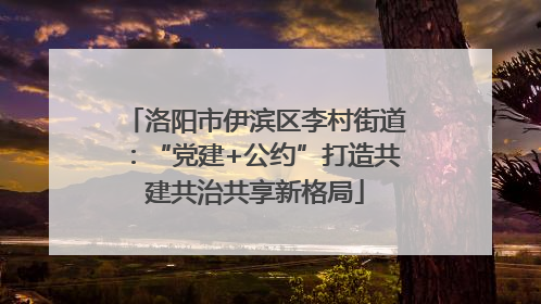 洛阳市伊滨区李村街道：“党建+公约”打造共建共治共享新格局