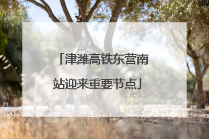 津潍高铁东营南站迎来重要节点