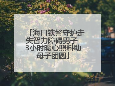 海口铁警守护走失智力障碍男子 3小时暖心照料助母子团圆