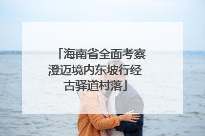 海南省全面考察澄迈境内东坡行经古驿道村落