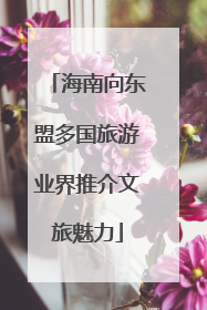 海南向东盟多国旅游业界推介文旅魅力