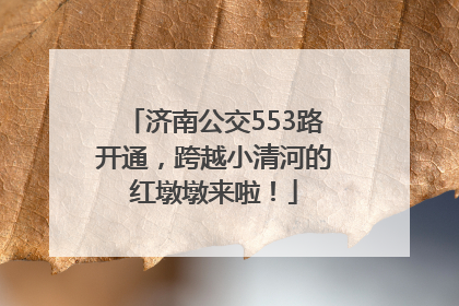 济南公交553路开通，跨越小清河的红墩墩来啦！