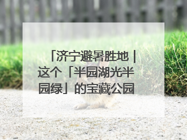 济宁避暑胜地｜这个「半园湖光半园绿」的宝藏公园藏不住了！