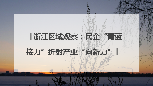 浙江区域观察：民企“青蓝接力”折射产业“向新力”