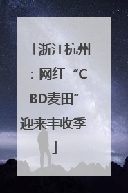 浙江杭州：网红“CBD麦田”迎来丰收季
