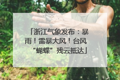 浙江气象发布：暴雨！雷暴大风！台风“蝴蝶”残云抵达