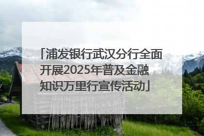 浦发银行武汉分行全面开展2025年普及金融知识万里行宣传活动