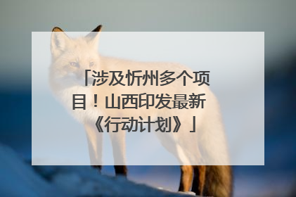 涉及忻州多个项目！山西印发最新《行动计划》