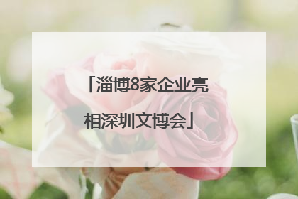 淄博8家企业亮相深圳文博会