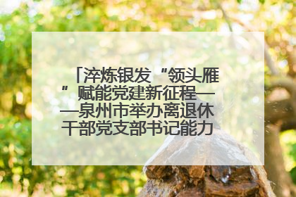 淬炼银发“领头雁”赋能党建新征程——泉州市举办离退休干部党支部书记能力建设专题培训
