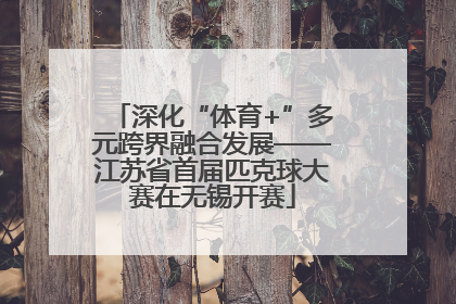 深化“体育+”多元跨界融合发展——江苏省首届匹克球大赛在无锡开赛