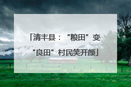 清丰县：“粮田”变“良田”村民笑开颜
