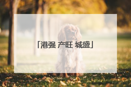 港强 产旺 城盛