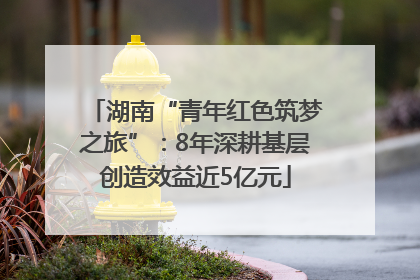 湖南“青年红色筑梦之旅”：8年深耕基层创造效益近5亿元