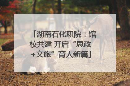 湖南石化职院：馆校共建 开启“思政+文旅”育人新篇