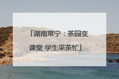 湖南常宁：茶园变课堂 学生采茶忙