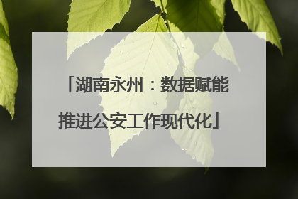 湖南永州：数据赋能推进公安工作现代化