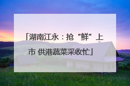 湖南江永：抢“鲜”上市 供港蔬菜采收忙