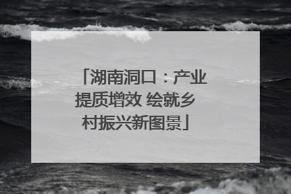 湖南洞口：产业提质增效 绘就乡村振兴新图景