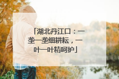 湖北丹江口：一垄一垄细耕耘，一叶一叶精呵护