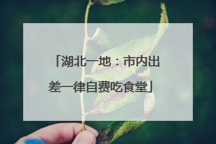 湖北一地：市内出差一律自费吃食堂
