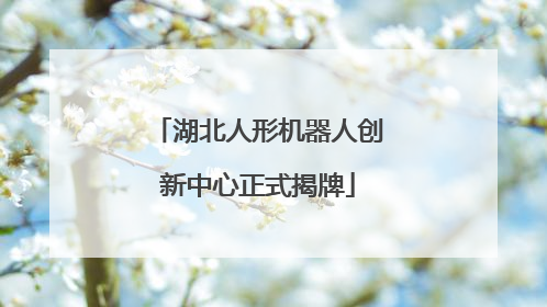 湖北人形机器人创新中心正式揭牌