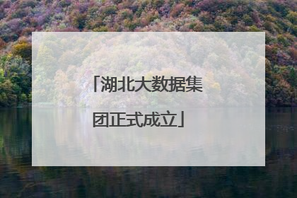 湖北大数据集团正式成立