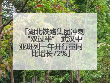 湖北铁路集团冲刺“双过半” 武汉中亚班列一年开行量同比增长72%