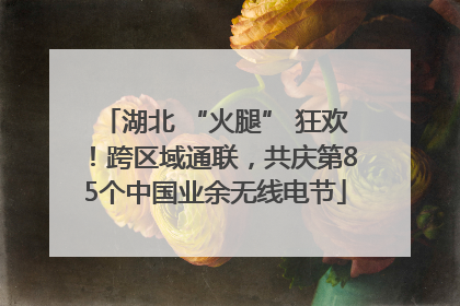 湖北 “火腿” 狂欢！跨区域通联，共庆第85个中国业余无线电节