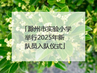 滁州市实验小学举行2025年新队员入队仪式
