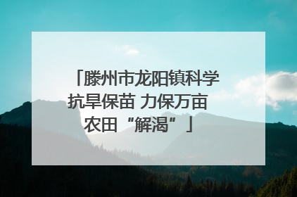 滕州市龙阳镇科学抗旱保苗 力保万亩农田“解渴”