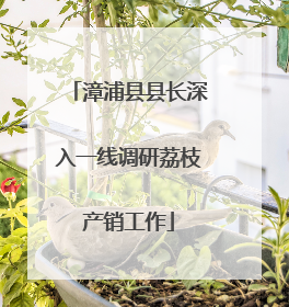 漳浦县县长深入一线调研荔枝产销工作