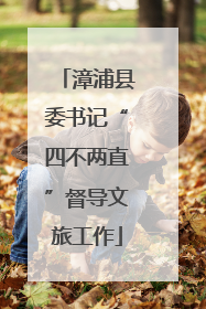 漳浦县委书记“四不两直”督导文旅工作