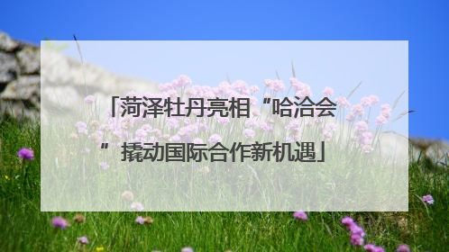 菏泽牡丹亮相“哈洽会”撬动国际合作新机遇