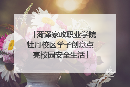 菏泽家政职业学院牡丹校区学子创意点亮校园安全生活