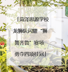 菏泽思源学校龙狮队闪耀“狮舞齐鲁”赛场 勇夺四项桂冠