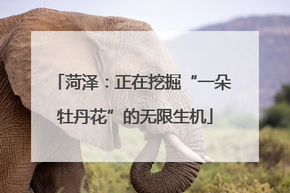 菏泽：正在挖掘“一朵牡丹花”的无限生机