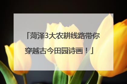 菏泽3大农耕线路带你穿越古今田园诗画！
