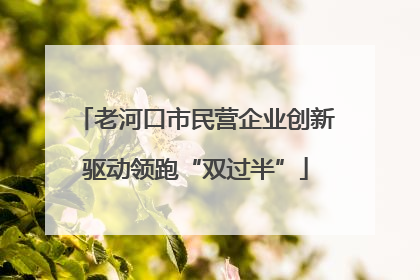 老河口市民营企业创新驱动领跑“双过半”
