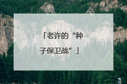 老许的“种子保卫战”