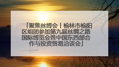 聚焦丝博会丨榆林市榆阳区组团参加第九届丝绸之路国际博览会暨中国东西部合作与投资贸易洽谈会