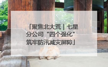 聚焦北大荒｜七星分公司“四个强化”筑牢防汛减灾屏障