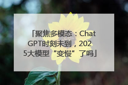 聚焦多模态：ChatGPT时刻未到，2025大模型“变慢”了吗